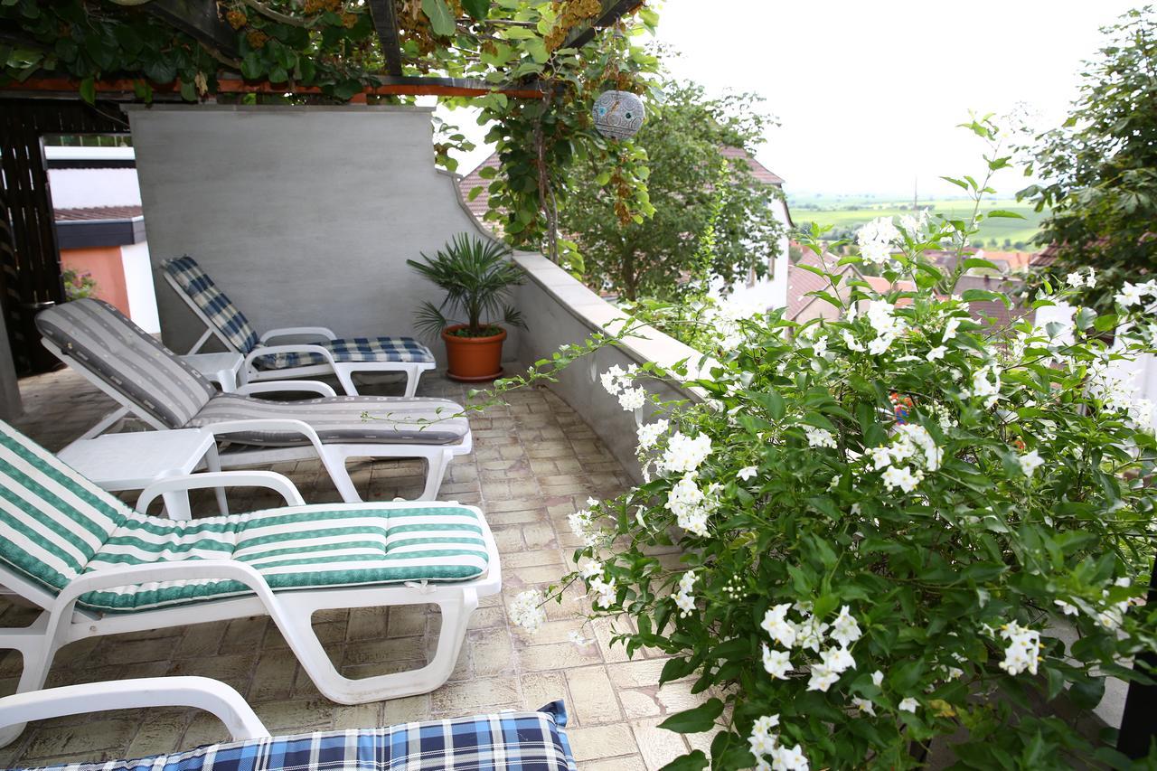 Pension Weinberg Mit Landhaus Nizza Gleisweiler エクステリア 写真